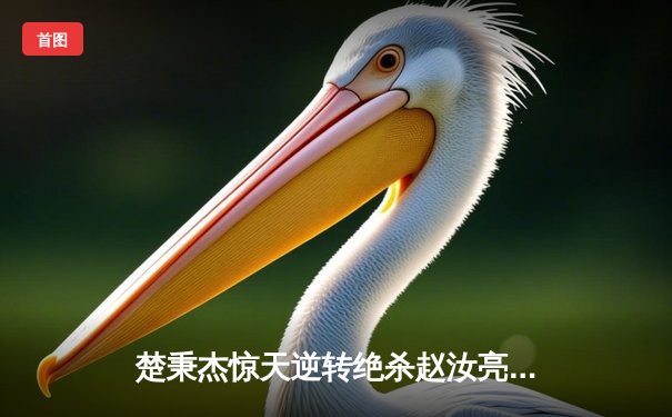 楚秉杰惊天逆转绝杀赵汝亮，斩获中式八球国际大师赛桂冠