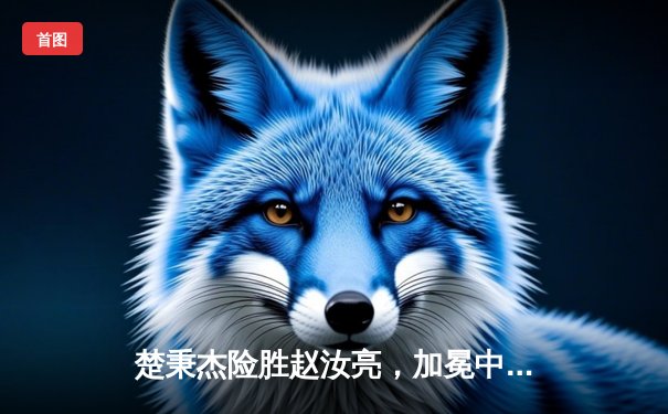 楚秉杰险胜赵汝亮，加冕中式台球大师赛总决赛冠军